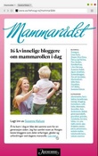 Omslagsbilde av Mammarådet
