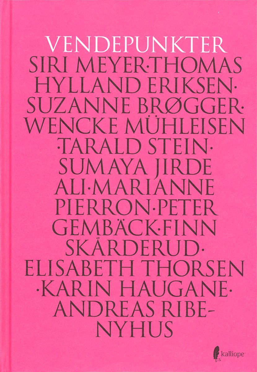 "Vendepunkter" av Siri Meyer
