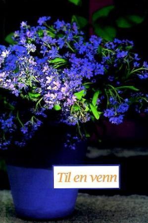 "Til en venn" av Finn Schjøll