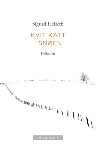 Kvit katt i snøen - haikudikt