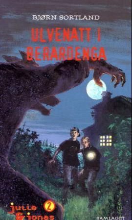 Ulvenatt i Berardenga