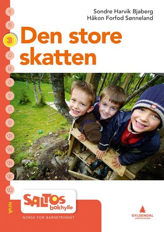 Den store skatten - nivå 3-4