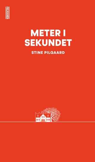 Meter i sekundet - roman