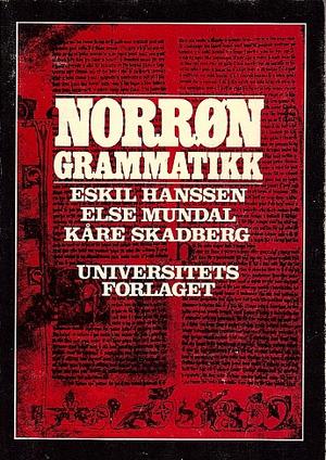Norrøn grammatikk - lydlære, formlære og syntaks i historisk framstilling