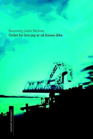 Ordet for hva jeg er nå finnes ikke - roman