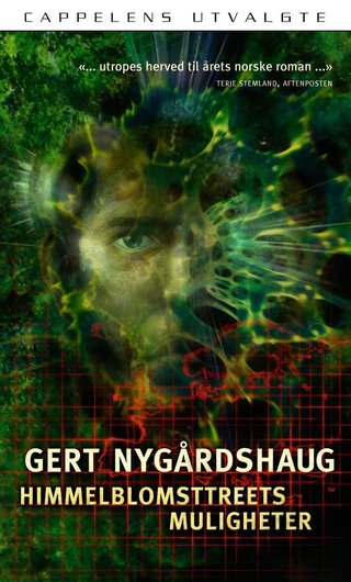 Himmelblomsttreets muligheter - roman