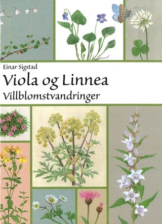 Viola og Linnea - Villblomstvandringer