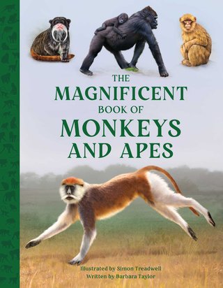 "The Magnificent Book of Monkeys and Apes" av Barbara Taylor