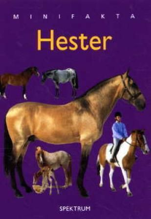 "Hester" av David Alderton