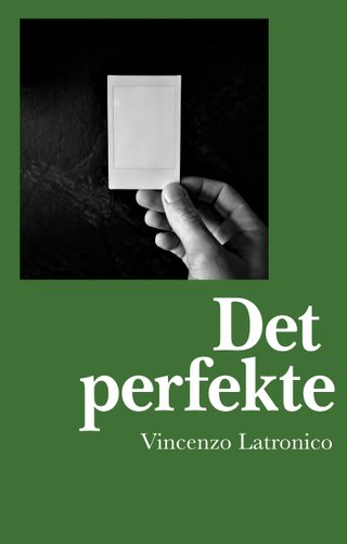 Det perfekte - roman