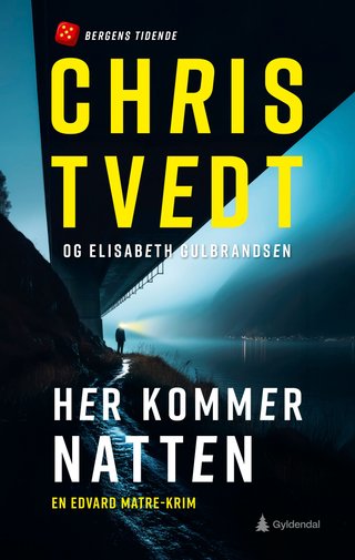 Her kommer natten - kriminalroman