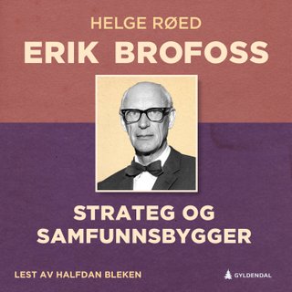 Erik Brofoss - strateg og samfunnsbygger