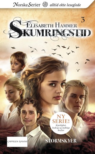 "Stormskyer" av Elisabeth Hammer