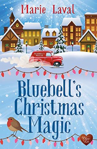 Bluebell’s Christmas Magic