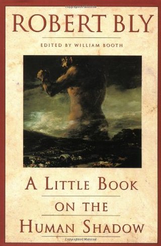 "A Little Book on the Human Shadow" av Robert Bly