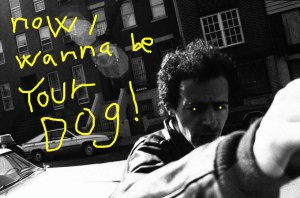 "Now I wanna be your dog!" av Morten Andersen