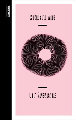 "Det åpenbare" av Kenneth Moe