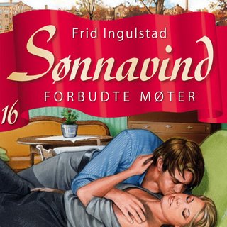 Forbudte møter