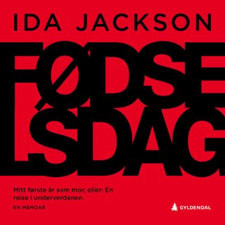 "Fødselsdag - mitt første år som mor, eller En reise i underverdenen : en memoar" av Ida Jackson