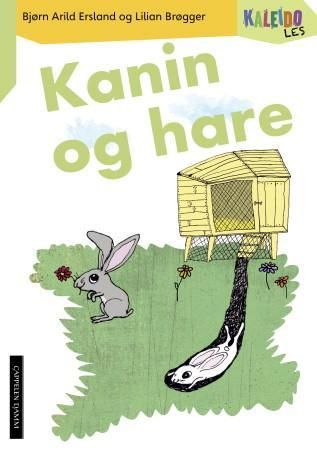 Kaleido les - nivå 3 : Kanin og hare