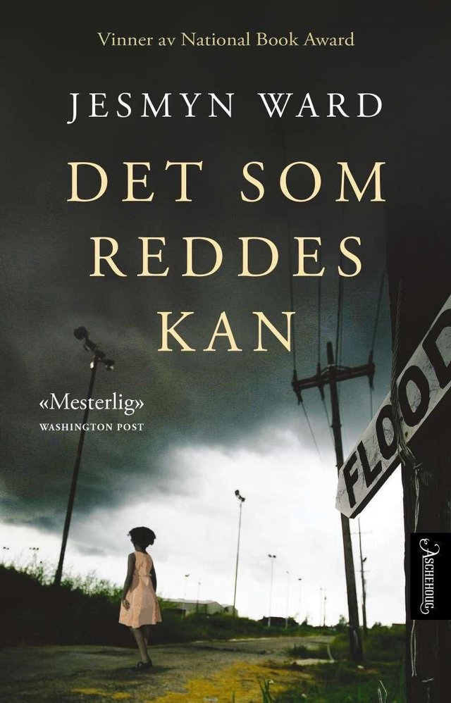 "Det som reddes kan - en roman" av Jesmyn Ward