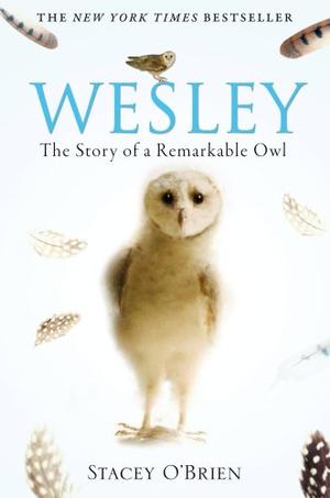 "Wesley The Story of a Remarkable Owl" av Stacey O'Brien