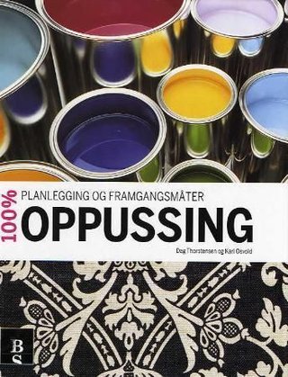 100% oppussing - planlegging og framgangsmåter