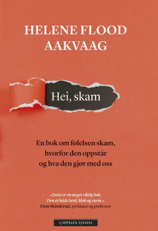 Hei, skam - en bok om følelsen skam, hvorfor den oppstår og hva den gjør med oss