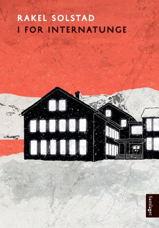 "I for internatunge roman" av Rakel Solstad