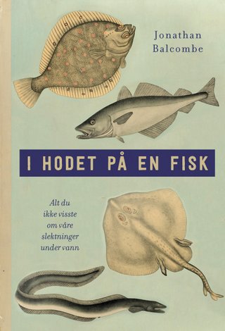 "I hodet på en fisk alt du ikke visste om våre slektninger under vann" av Jonathan Balcombe