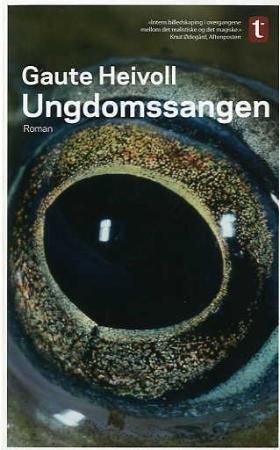 "Ungdomssangen roman" av Gaute Heivoll