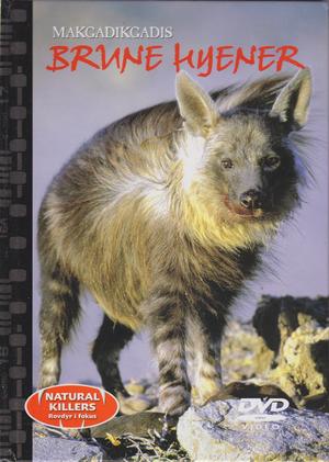 "Makgadikgadis brune hyener - Nature Killers - Rovdyr i fokus 11"