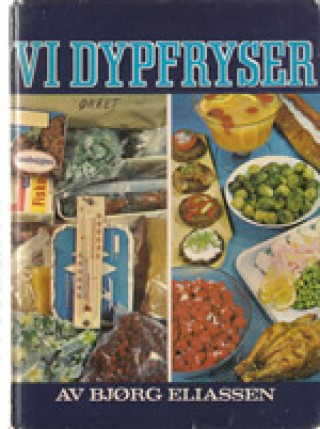 "Vi dypfryser" av Bjørg Eliassen