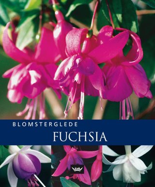 "Fuchsia" av Richard Rosenfeld