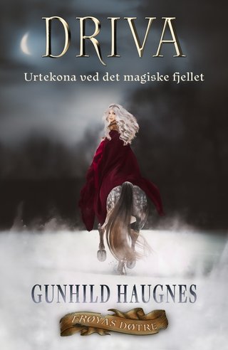 "Driva" av Gunhild M. Haugnes