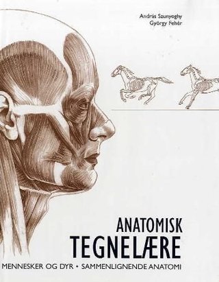 Anatomisk tegnelære - mennesker og dyr, sammenlignende anatomi