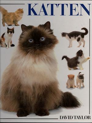 Katten
