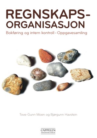 Regnskapsorganisasjon - bokføring og intern kontroll : oppgavesamling
