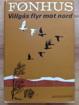 Villgås Flyr Mot Nord