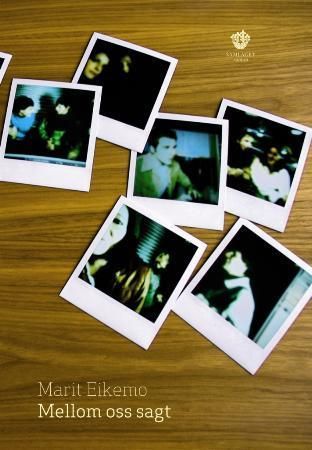 Mellom oss sagt - roman