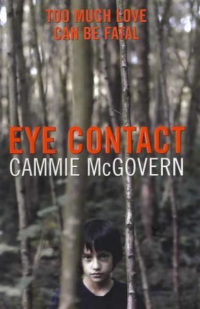 Eye contact - a novel