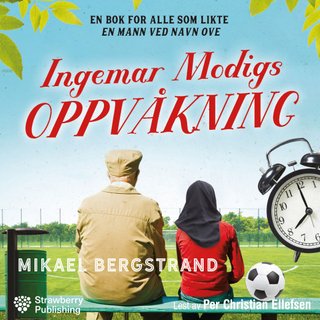 "Ingemar Modigs oppvåkning" av Mikael Bergstrand