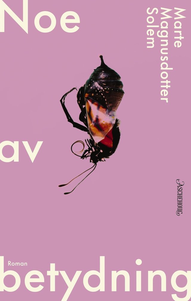 "Noe av betydning - roman" av Marte Magnusdotter Solem