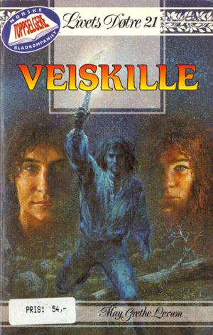 Veiskille