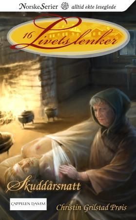 "Skuddårsnatt" av Christin Grilstad Prøis