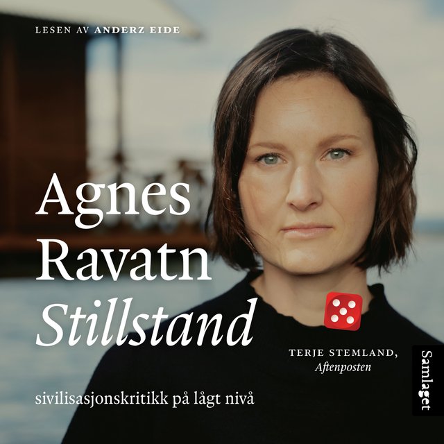 "Stillstand - sivilisasjonskritikk på lågt nivå" av Agnes Ravatn