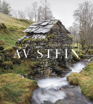 "Av stein" av Eva Røyrane