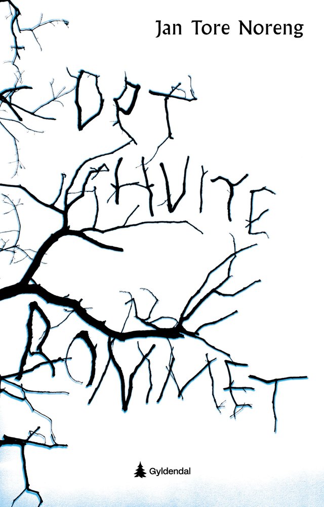 "Det hvite rommet - ungdomsroman" av Jan Tore Noreng