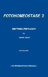 Fotohomeostase 2 - abstraksjonsfilosofi