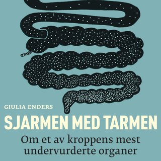 Sjarmen med tarmen - om et av kroppens mest undervurderte organer
